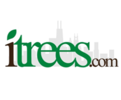 Maple Tree Naperville