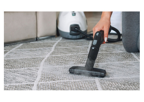 Best Upholstery Cleaning Company Hollywood