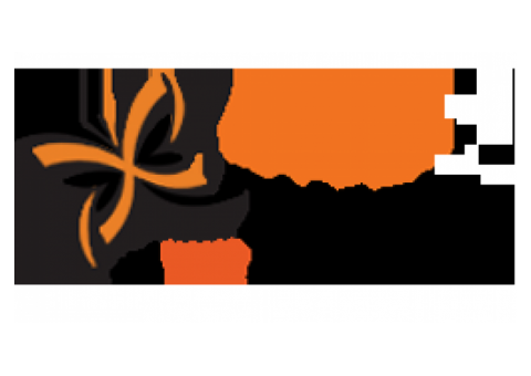 SEO Company in India