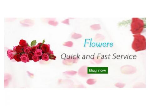 Flowers Delivery – Buy Flowers online in Mumbai