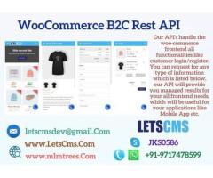 Rest API Plugin | WP REST API | LETSCMS Pvt. Ltd.