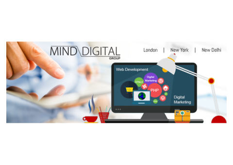 Hire digital marketing agency India to improve your website ranking