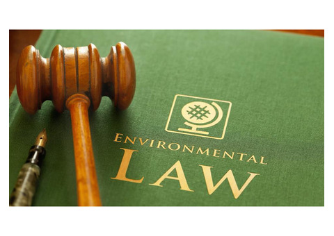 Navigating Environmental Jurisprudence: Alaya Legal's Expertise