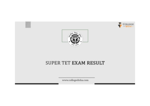 Super TET Result  Check Super TET Primary & Junior Result