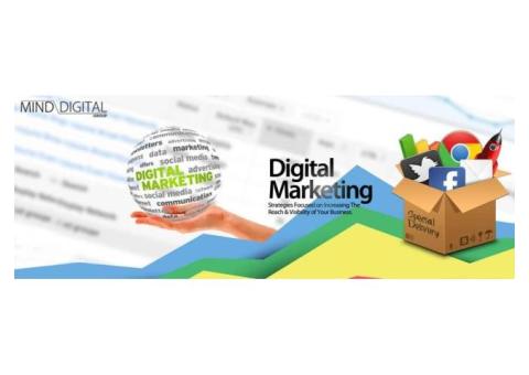 Get complete SEO solutions at SEO services India