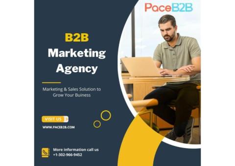 B2B Email List USA