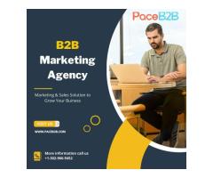 B2B Email List USA