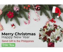 Christmas Gift Delivery to Philippines