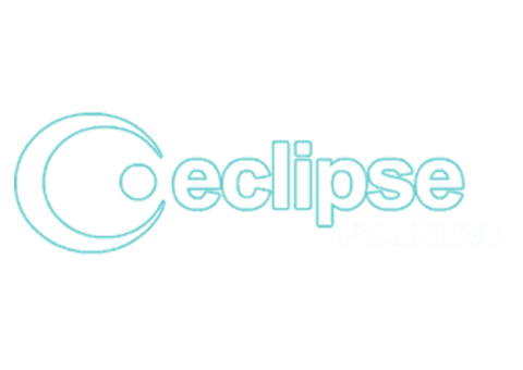 Computer forensics expert witness - Eclipse Forensics