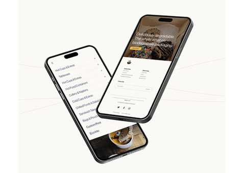Revolutionize Your Online Presence with Expert Web Design | noise