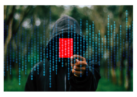 The Evolving Landscape of Cyber Security and Crimes