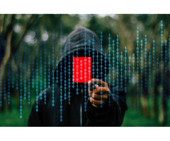 The Evolving Landscape of Cyber Security and Crimes