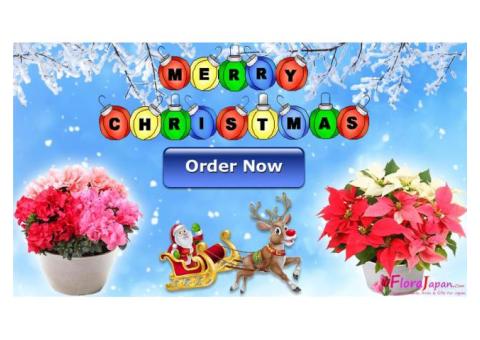 Send Christmas Chocolates with Flowers To Japan