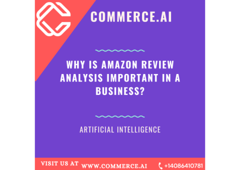 Best Amazon Product Review Analysis Provided By Commerce.AI