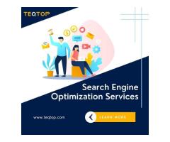 Professional Search Engine Optimization Services | TEQTOP