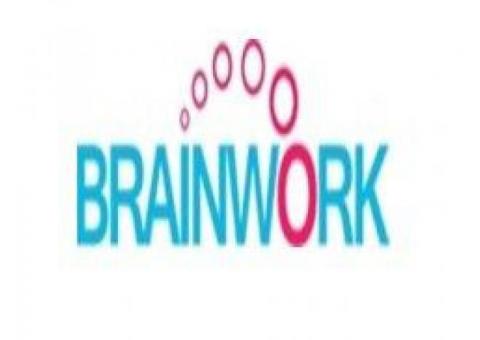 Web Development Company in Delhi | Brainwork