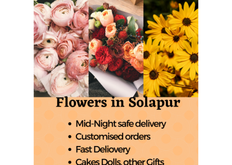 Buy Flowers Online in Solapur