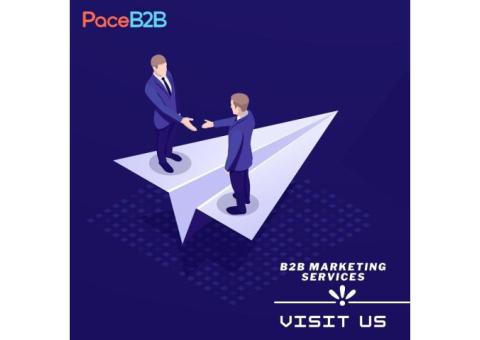 Nurture Marketing - PaceB2B