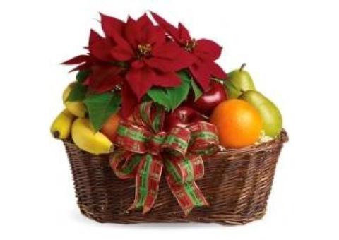 Christmas Sale Up To 50% OFF