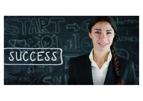 Niros X: Dream - Maximizing Business Success