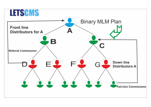 MLM Plan / Binary Business Model / Pyramid Model / Network Marketing
