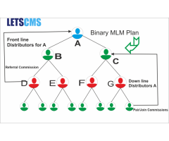 MLM Plan / Binary Business Model / Pyramid Model / Network Marketing