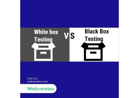 Black box vs white box testing