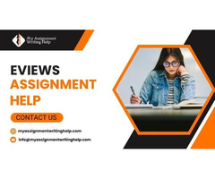 Tailored Eviews Assignment Help for Every Topic