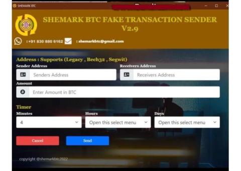 HOW TO SEND FLASH BITCOINS!!