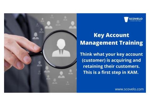 Key Account Consultant - ScoVelo Consulting