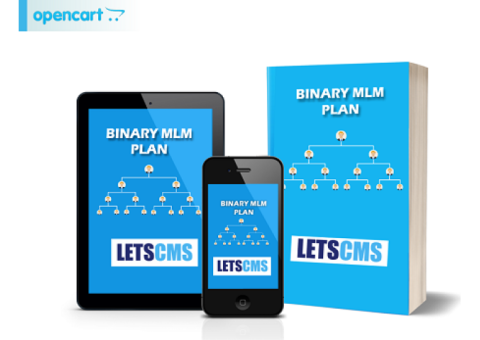 Best MLM Plan for Binary Multi-Level Marketing Business