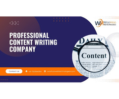 Professional Content Writing Company