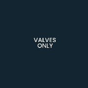VALVES ONLY