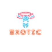 Exotic Super Car Rental